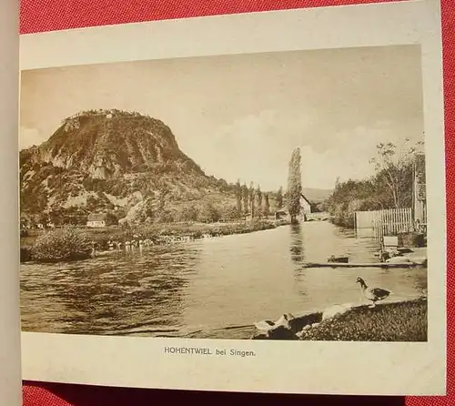 (1010732) "Der Bodensee" 12 Foto-Blaetter. Uebersichtsblatt u. Originaldeckel mit Goldpraegedruck