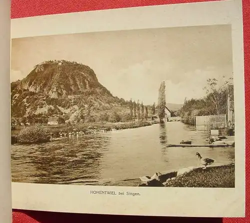 () "Der Bodensee" 12 Foto-Blaetter. Uebersichtsblatt u. Originaldeckel mit Goldpraegedruck