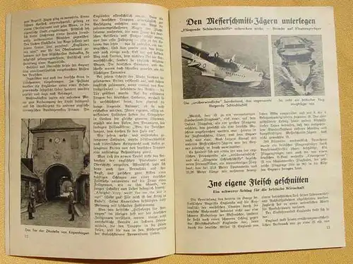 Wehrpolitische Schriftenreihe. NSDAP. Kleine Kriegshefte Nr. 3 ()