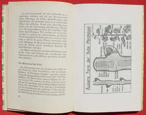 Ernst Fick. Eine Rheingauer Weinfibel. 96 Seiten, 1953 (0082617)