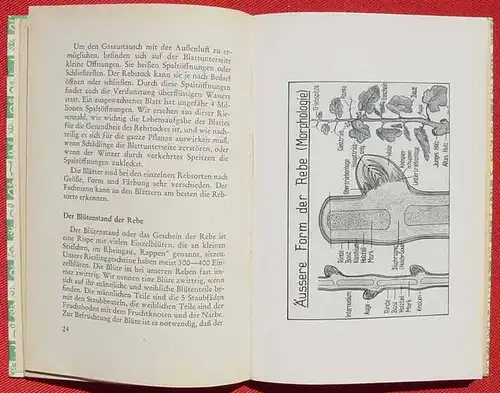 Ernst Fick. Eine Rheingauer Weinfibel. 96 Seiten, 1953 ()