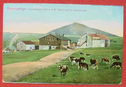 () Riesengebirge, Wiesenbaude, 1929, siehe bitte Bilder