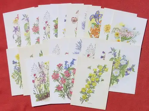(1046447) 24 x Blumen Aquarelle v. Eva Koenig (15 versch. Motive, Postkartenkalender) Vlg. Berg, Muenchen. Siehe bitte Bilder