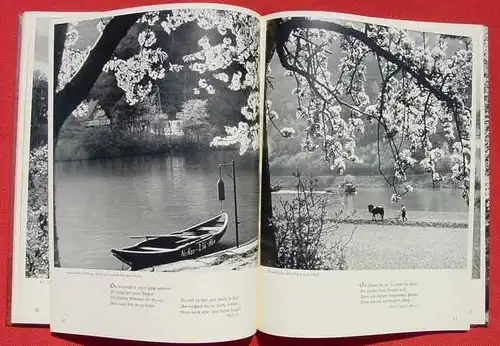 Das Neckartal von Heidelberg bis Wimpfen. Bildband. 1950er J. ()