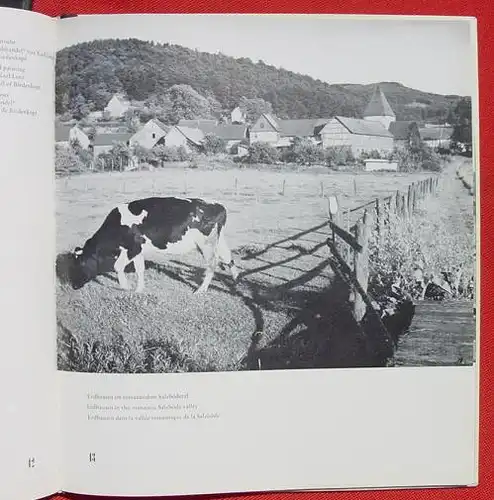 Kreis Biedenkopf. Foto-Bildband. 88 Seiten. Wetzlar, 1. Auflage 1964 (0082531)