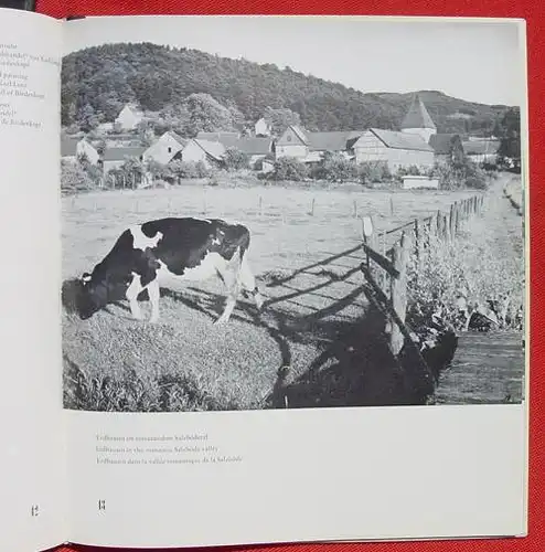 Kreis Biedenkopf. Foto-Bildband. 88 Seiten. Wetzlar, 1. Auflage 1964 ()