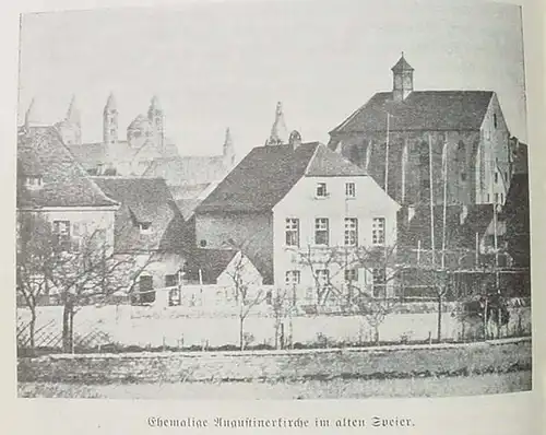 Der Speierer Reichstag 1529. Bilder u. Geschichten. Speyer 1929 ()