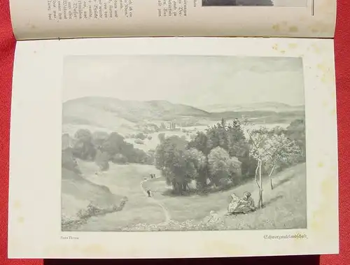 Das schoene Deutschland. 336 S., Voegels-Verlag, Berlin 1930 ()