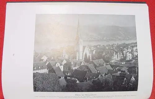 Das Blaue Buch vom Rhein. Elly Heuss-Knapp. Foto-Bildband. 1951 ()