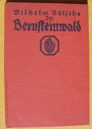 (0010214) Boelsche "Im Bernsteinwald". 80 S., 41 Abb., Kosmos, Stuttgart 1927