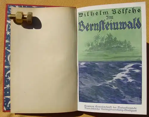 (0010214) Boelsche "Im Bernsteinwald". 80 S., 41 Abb., Kosmos, Stuttgart 1927