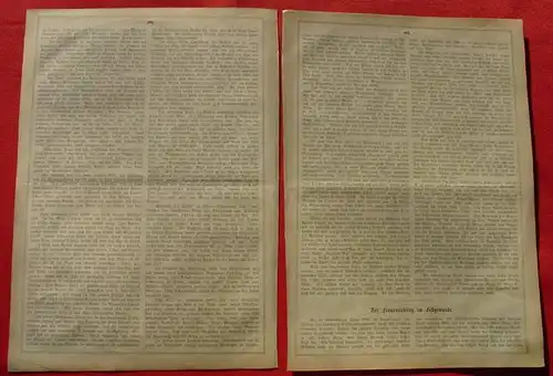 () Robinson Crusoe. Bericht aus Gartenlaube von 1871 mit Bild. Von Plankenau