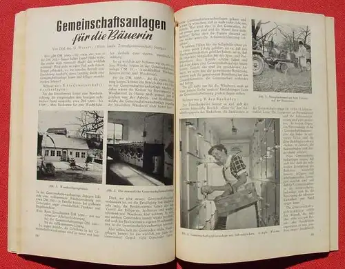 (1010509) "Schwaebischer Bauernkalender 1954". 144 S., Verlag Eugen Ulmer, Stuttgart u. Ludwigsburg