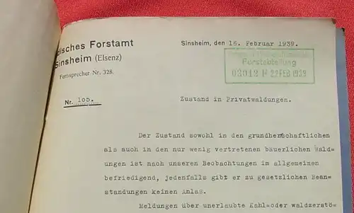 () Forstamt Sinsheim (Elsenz). Wald Zustandsberichte ab 1849 bis 1939. Grossherzogliches Badisches