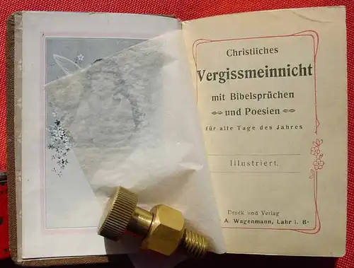 () Vergissmeinnicht mit Bibelspruechen und Poesien, um 1900. Wagenmann, Lahr i. B