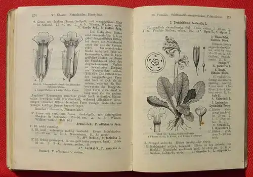 (1010918) "Schulflora von Baden". 278 S., 114 Abb., Herder-Verlag, Freiburg 1914