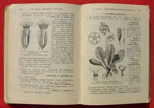 () "Schulflora von Baden". 278 S., 114 Abb., Herder-Verlag, Freiburg 1914