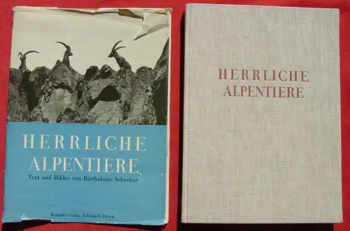 () "Herrliche Alpentiere" Schocher. 136 S., Rotapfel-Verlag, Erlenbach-Zuerich 1939