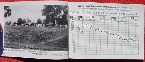 () "Das Gruenland in der Erzeugerschlacht" Bilderheft 1938. Stickstoff-Industrie ... , Berlin