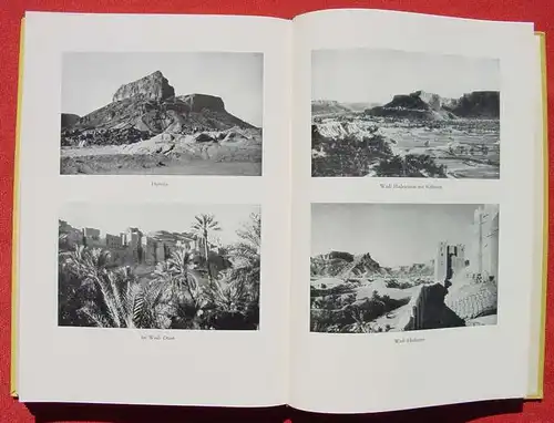 (1015197) Helfritz "Vergessenes Suedarabien" Wadis, Hochhaeuser und Beduinen. 1936 Buechergilde Gutenberg, Berlin
