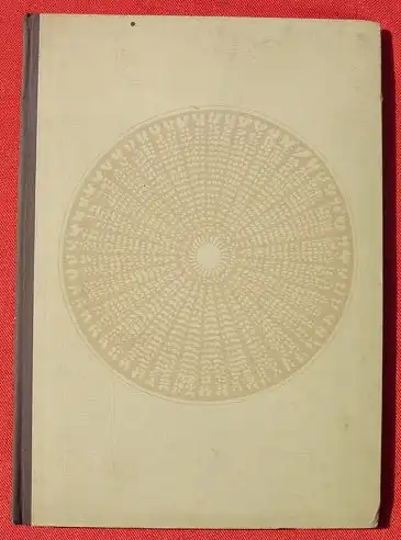Ruge "Die Melodie des Lebens". 40 mikroskopischen Aufn. Reclam, Leipzig 1939 (0010067)