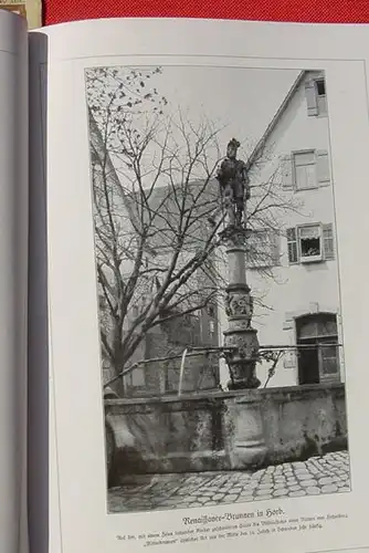 Tore, Tuerme und Brunnen. Die Blauen Buecher. Langewiesche 1921 ()