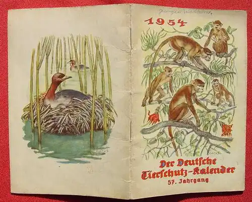 (0190041) "Der Deutsche Tierschutz-Kalender 1954". 32 S.,  Berlin u. Hilchenbach (Westf.)