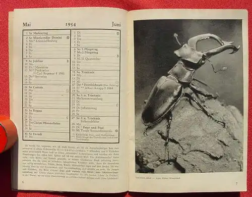 (0190041) "Der Deutsche Tierschutz-Kalender 1954". 32 S.,  Berlin u. Hilchenbach (Westf.)