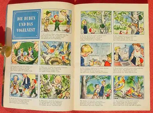 (0190054) "Tierschutzkalender 1956". 64 Seiten. Comic-Teil. Verlag Limpert, Farnkfurt am Main
