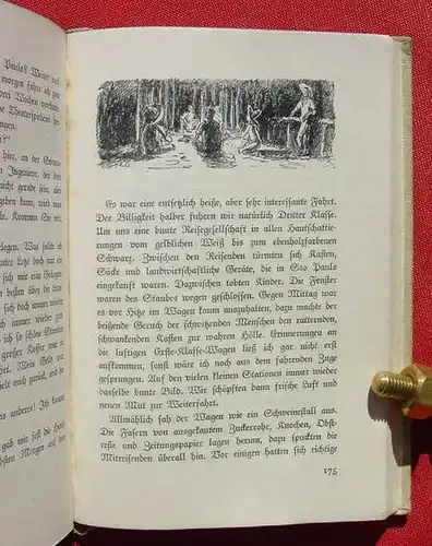 (1005627) Dettmann "Vier Jahre Brasilien-Erlebnisse". 268 S., Textzeichnungen, 1939 Ostergaard, Berlin