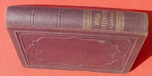 () Piringer "Die richtige Pflege der Neugeborenen und kleinen Kinder". Graz 1877. 416 Seiten