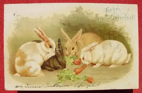 () Kunst-Postkarte. Frohe Ostern. Hasen. Ansichtskarte 1901