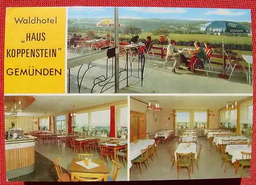 (1038616) 6541 Gemuenden, Hunsrueck. Haus Koppenstein, Familie Bosch. Ansichtskarte