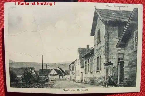 (1038744) 67169 Gruss aus Kallstadt. Winzer-Genossenschaft. Ansichtskarte. Verlag Karl Altherr