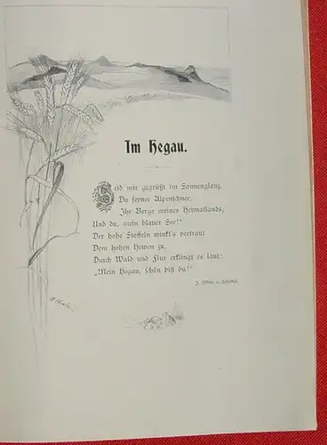 (1013503) "Hohentwiel und Ekkehard - in Geschichte, Sage und Dichtung". Dr. Karl Weiss. 1901. Merkur-Verlag, Wiser & Frey,  St.Gallen u. Leipzig