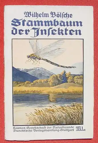 (1009364) Boelsche "Stammbaum der Insekten" 92 S.,  Kosmos 1916. Franckh-sche Verlag, Stuttgart