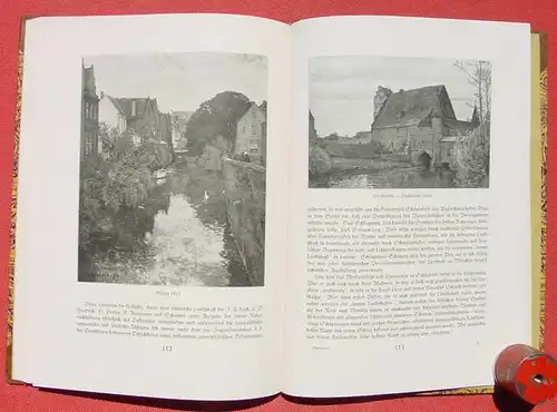 () Beringer "Gustav Schoenleber" Landschaftsmaler. 132 S., 126 Bilder. 1924 Verlag Mueller, Karlsruhe