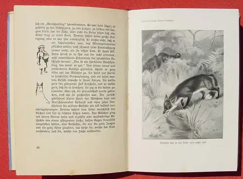 () E. Thompson Seton "Domino Reinhard". Silberfuchs. 96 S., 8 Vollbilder. Franckh, Stuttgart 1930-er J. # Tiergeschichten