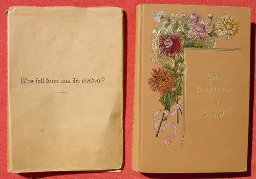 (0060151) Johanna Spyri "Was soll denn aus ihr werden ?" 270 S., Verlag Perthes, Gotha