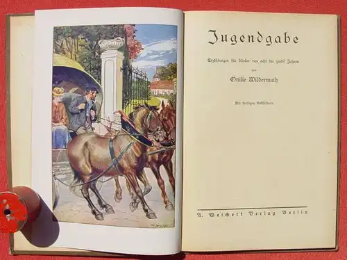 (0060168) Ottilie Wildermuth "Jugendgabe" 72 S., Weichert-Verlag, Berlin