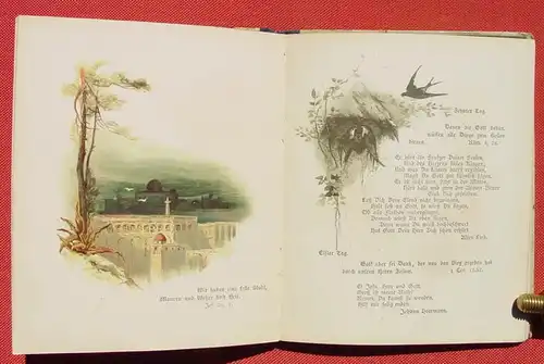 () "Auf zu Gott ! " Bibelworte und geistliche Lieder. Kunstbuch. 32 S., 1891, Theo Stroefler's Kunst-Vlg. Muenchen