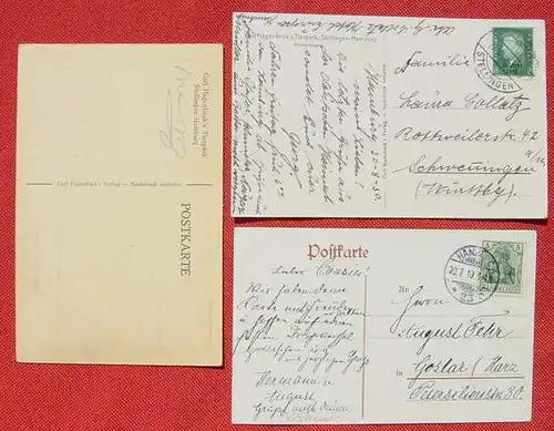 (1043504) Hagenbecks Tierpark Stellingen-Hamburg. 3 Postkarten, um 1910-1930
