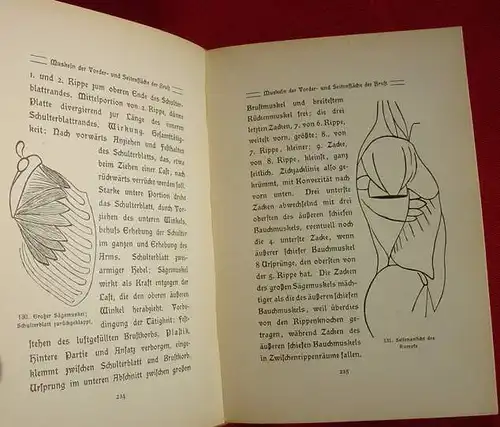 () "Kuenstler-Anatomie". Bildende Kuenste in Karlsruhe. 348 S., Spemann, Berlin u. Stuttgart