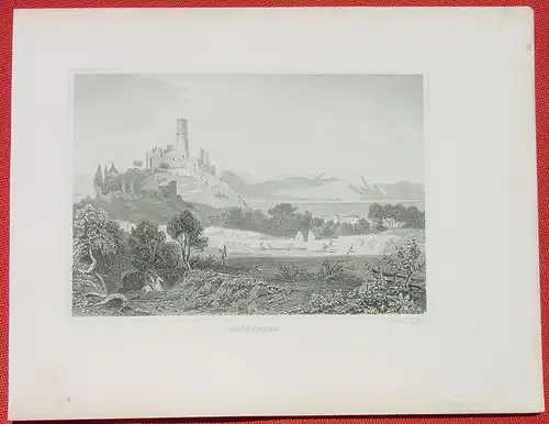 (1009305) "Godesberg". Alter Stahlstich um 1880. Bildgroesse ca. 15,5 x 10,5 cm