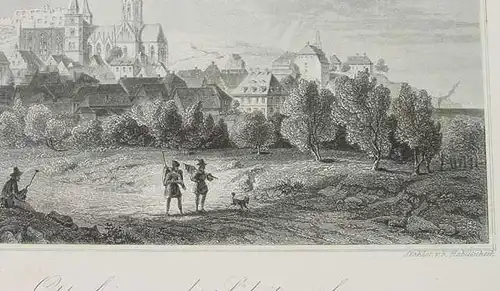 (1009329) "Oppenheim von der Suedseite gesehen". Stahlstich um 1880. Bildgroesse ca. 13 x 8 cm