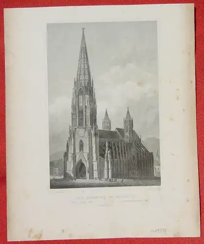 () "Der Muenster in Freiburg". Alter Stahlstich um 1880. Bildgroesse ca. 10,5 x 15,5 cm