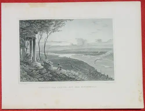 (1009343) "Aussicht vom Tempel auf dem Niederwald bei Ruedesheim". Stahlstich um 1880