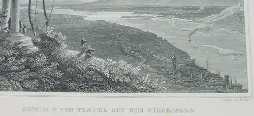 (1009343) "Aussicht vom Tempel auf dem Niederwald bei Ruedesheim". Stahlstich um 1880