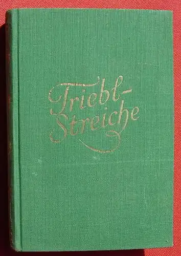 (0180025) "Triebl-Streiche" Rudolf Haas. 280 S., Verlag Staackmann, Leipzig 1929