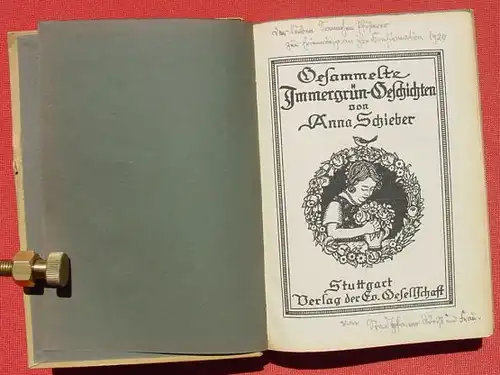 () "Gesammelte IMMERGRUEN-Geschichten" Anna Schieber. 272 S., 1919 Stuttgart